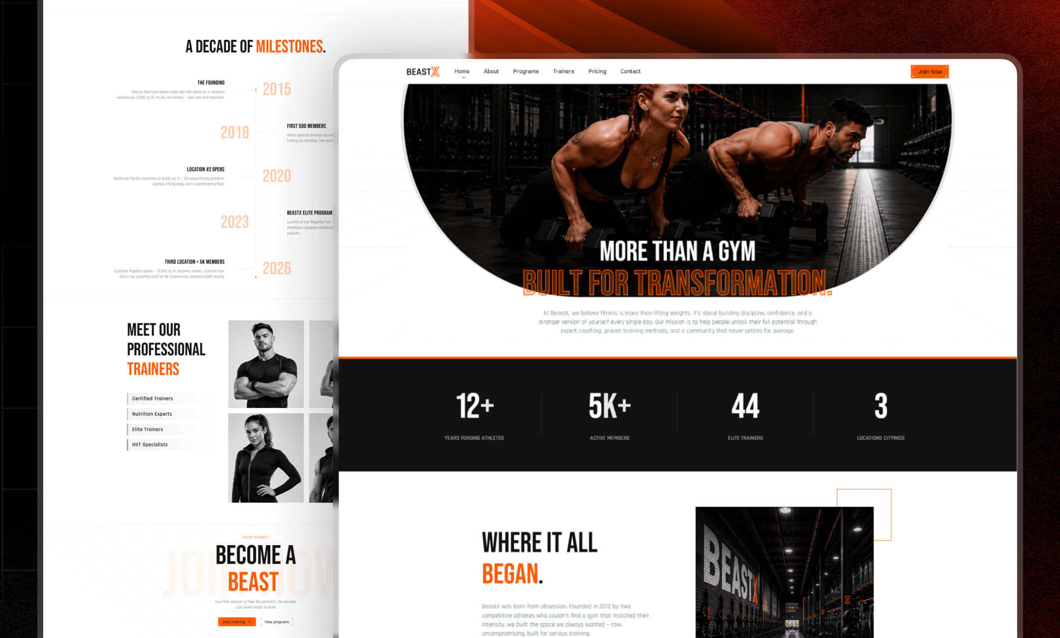 BeastX website template slide 2