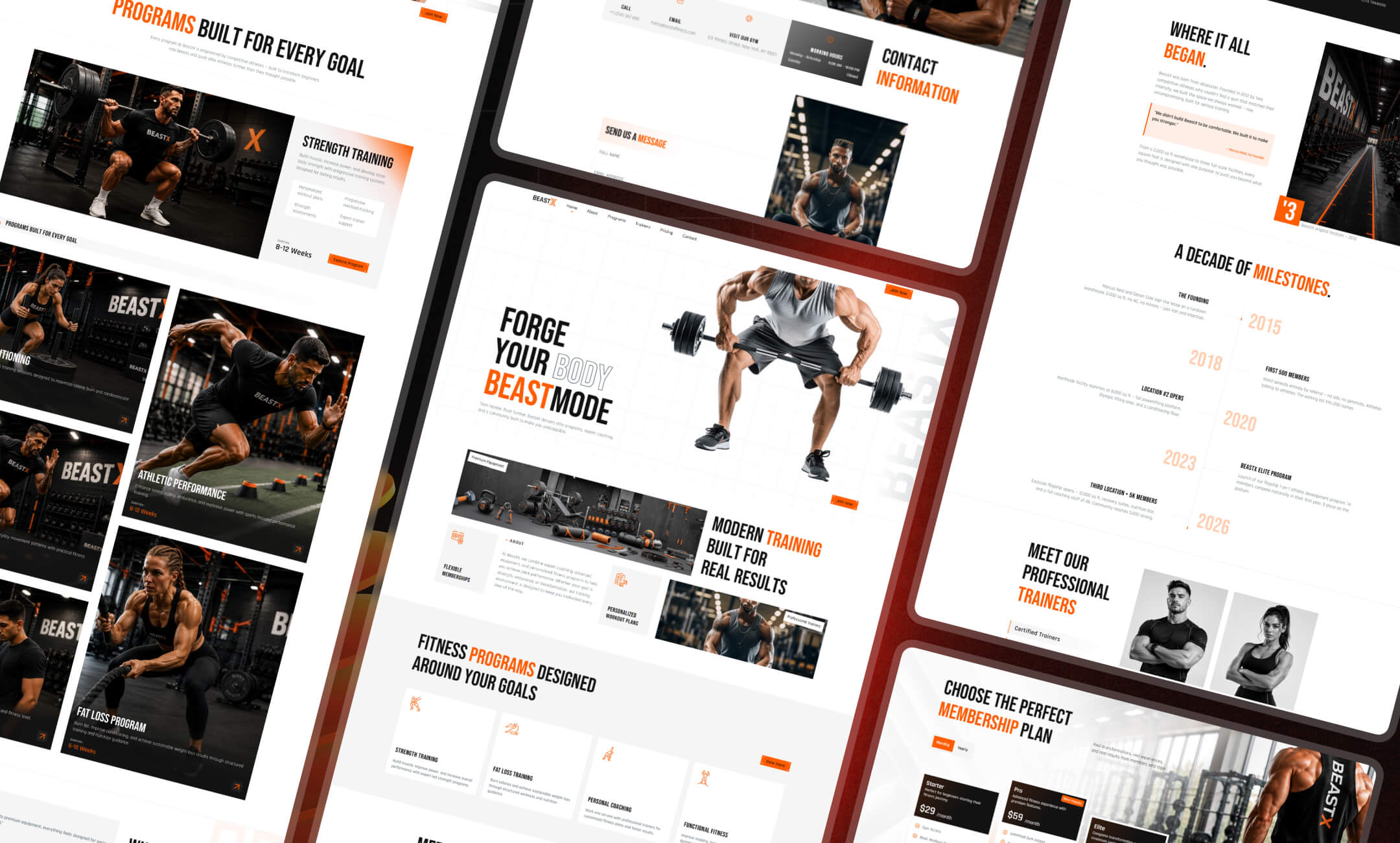 BeastX website template slide 4